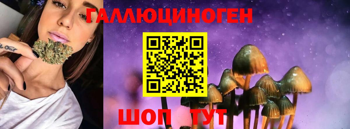 Ялта  Галлюциногенные грибы MAGIC MUSHROOMS  Вход с VPN 